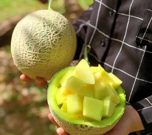 娱乐吃瓜壁纸高清图片,一图览尽娱乐圈风云变幻